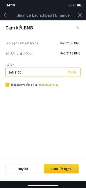 Nhập số lượng BNB muốn cam kết để tham gia Launchpad